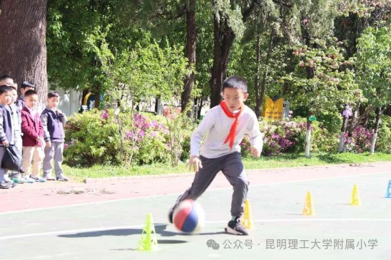 如何制定智能篮球训练计划_1